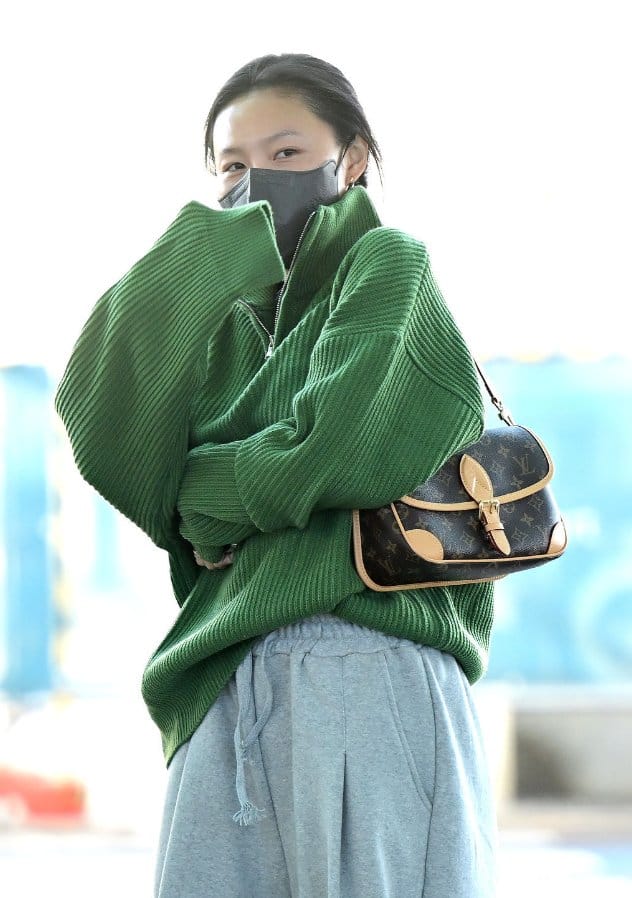 [마마무 화사] LOUIS VUITTON 루이비통 다이앤 모노그램 핸드백