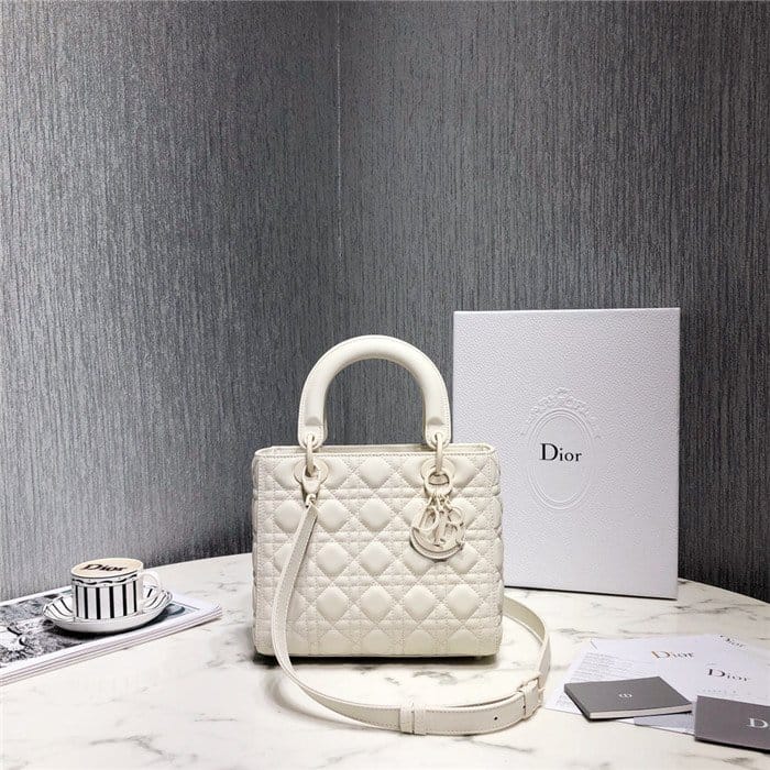 DIOR 디올 레이디 24CM D0565 5COLOR