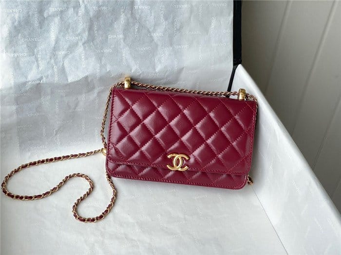 CHANEL 샤넬 WOC 19CM 미니백 AS81115 5COLOR