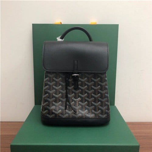 GOYARD 고야드 알핀 미니 백팩 G80901-5