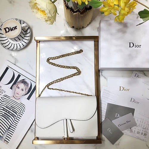 DIOR 디올 새들 체인 클러치 M9012 22CM