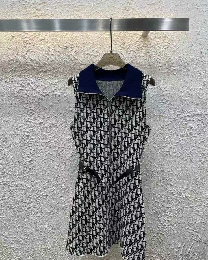 DIOR 디올 오블리크 원피스