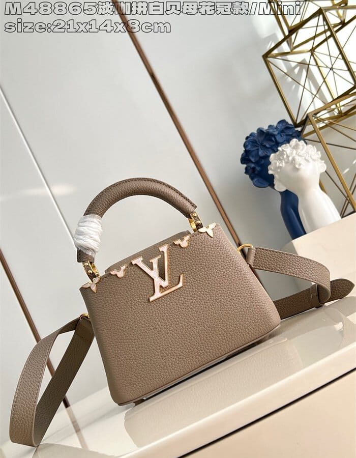 LOUIS VUITTON 루이비통 카푸신 미니 M48865 2024/신상