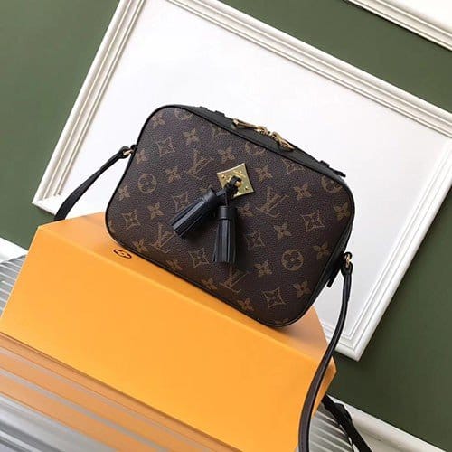 LOUIS VUITTON 루이비통 생통주백 M43555
