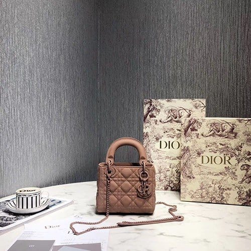 DIOR 디올 레이디 17CM D80891