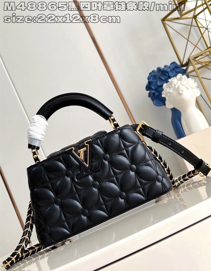 LOUIS VUITTON 루이비통 카푸신 미니 M48865 2024/신상