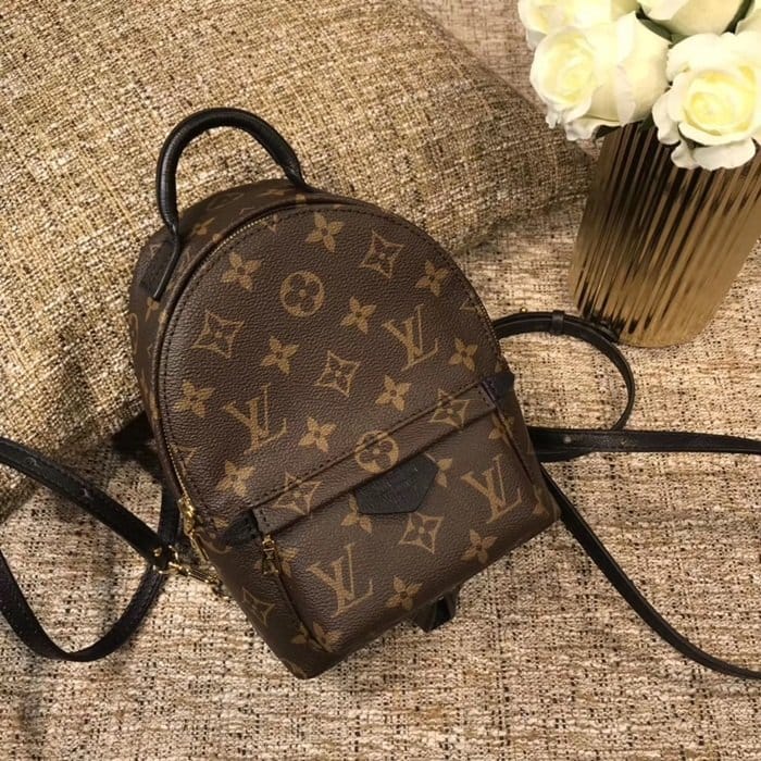 LOUIS VUITTON 루이비통 팜스프링 미니 백팩 M44873