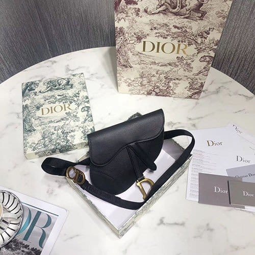 DIOR 디올 미니 새들백 D74800