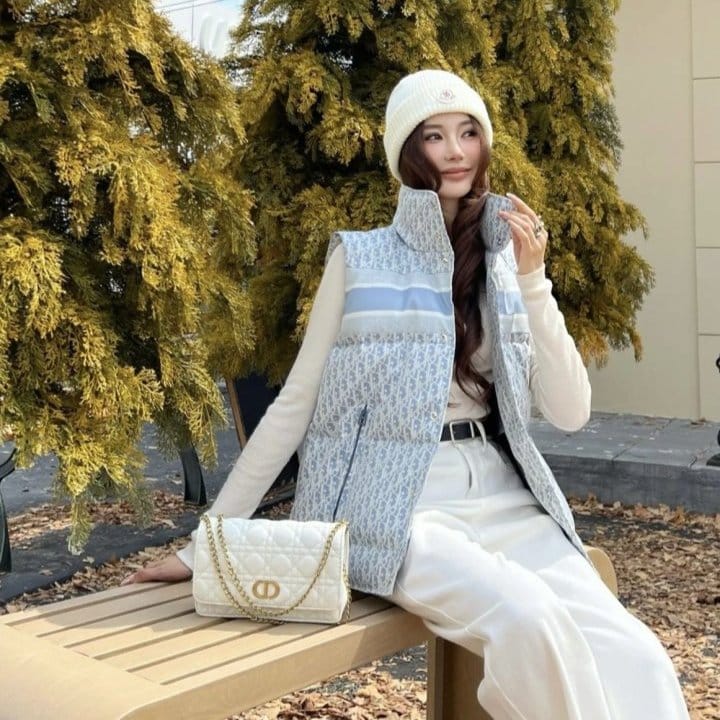 DIOR 디올 오블리크 다운 베스트 2COLOR