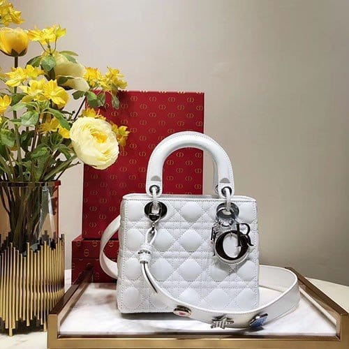 DIOR 디올 레이디백 20CM D38609-14
