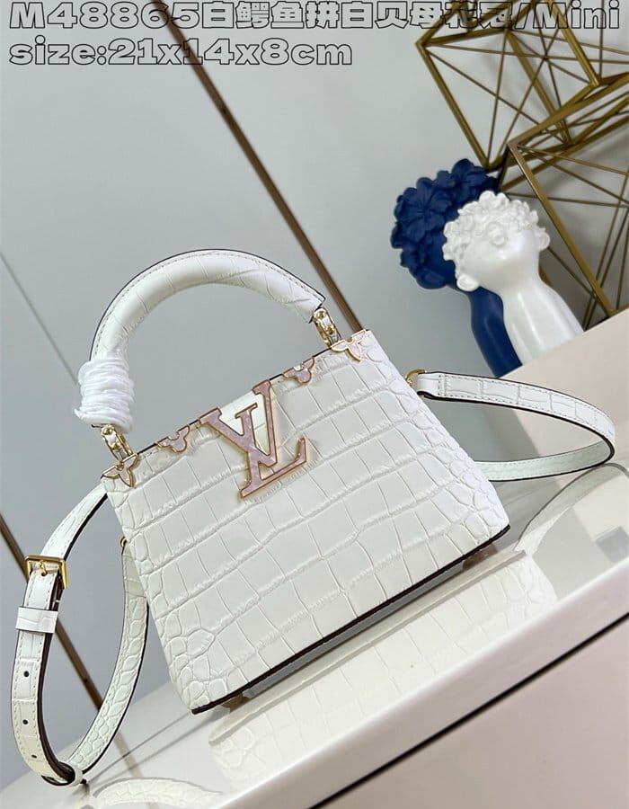 LOUIS VUITTON 루이비통 카푸신 미니 M48865 2024/신상