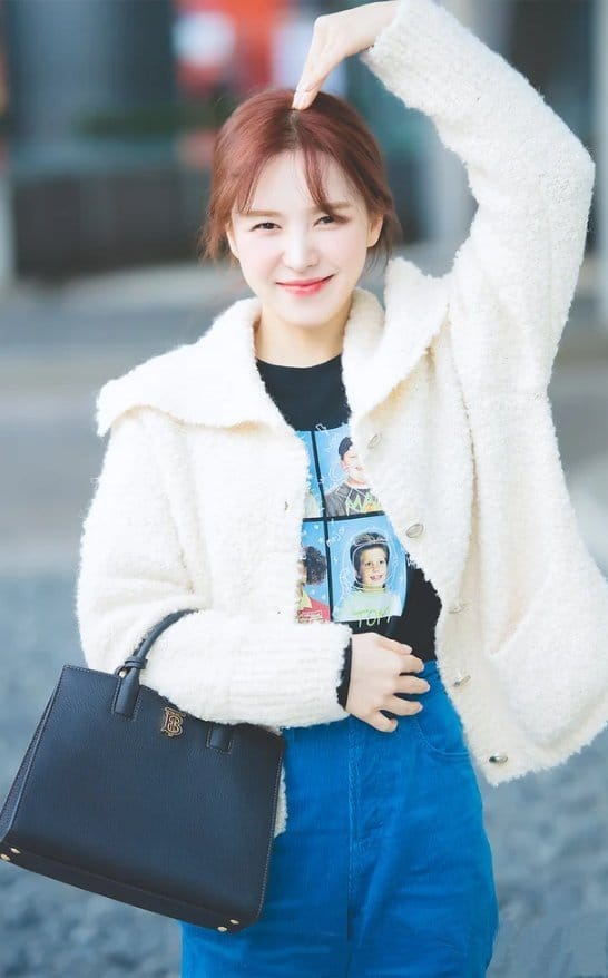 [레드벨벳 웬디] BURBERRY 버버리 스몰 프란시스 백 2COLOR