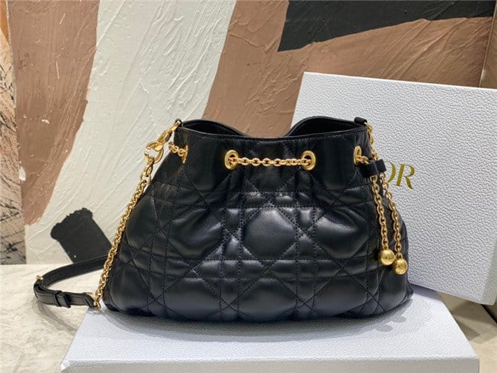 DIOR 디올 암미백 미듐 D15118