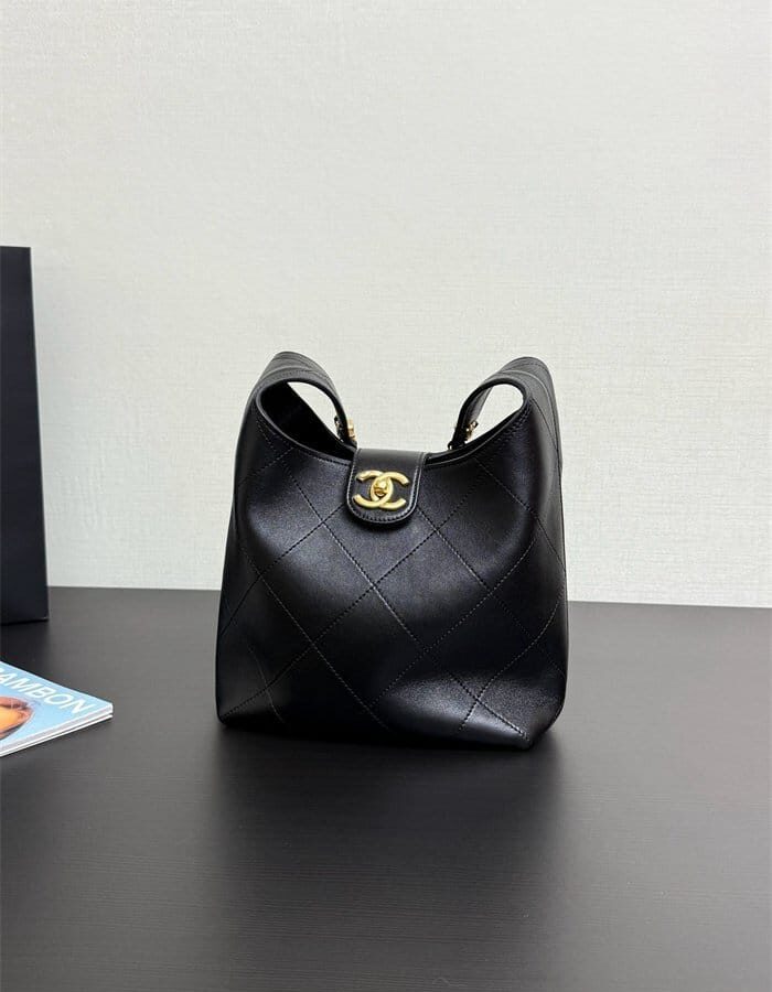 CHANEL 샤넬 호보백 스몰 AS3669
