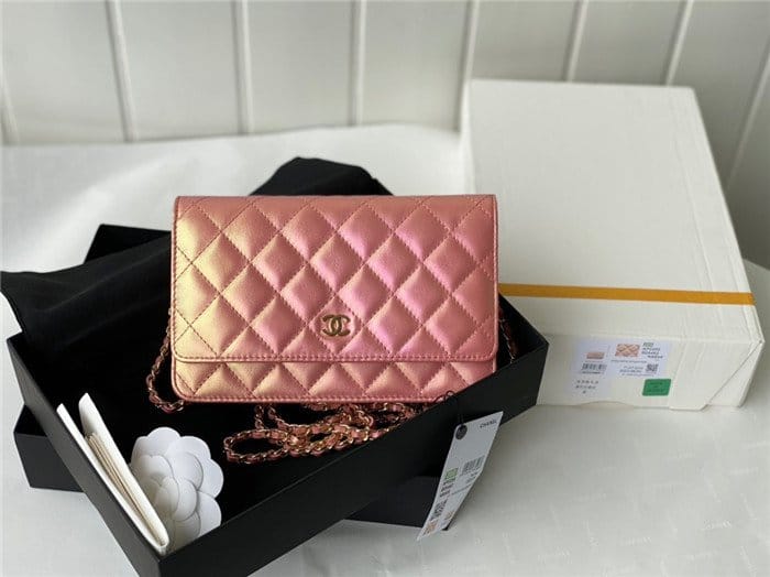 CHANEL 샤넬 WOC 19CM AS33698 2COLOR