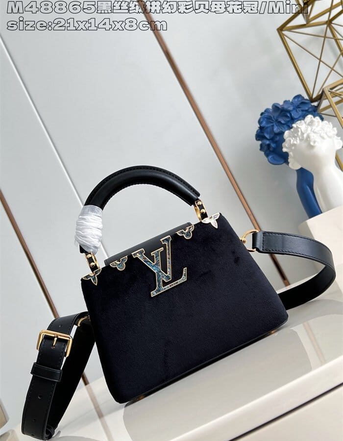 LOUIS VUITTON 루이비통 카푸신 미니 M48865 2024/신상
