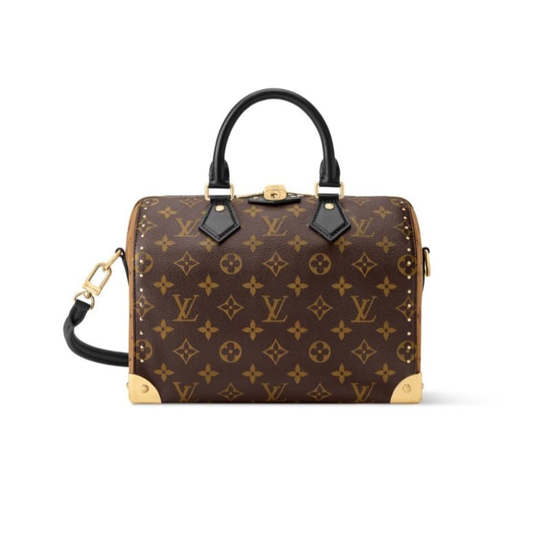 LOUIS VUITTON 루이비통 스피디 트렁크 25 M26181