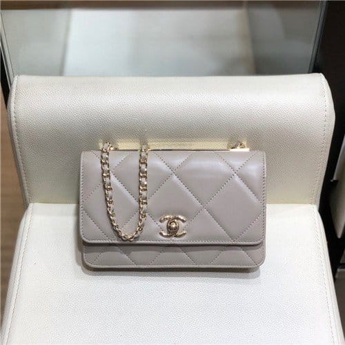 CHANEL 샤넬 WOC AS5005