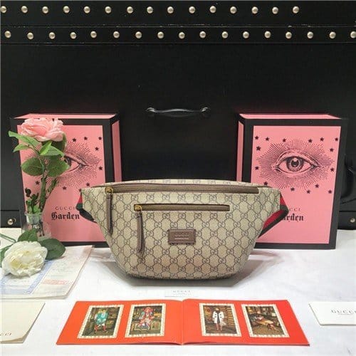 GUCCI 구찌 힙색 529711 /신상