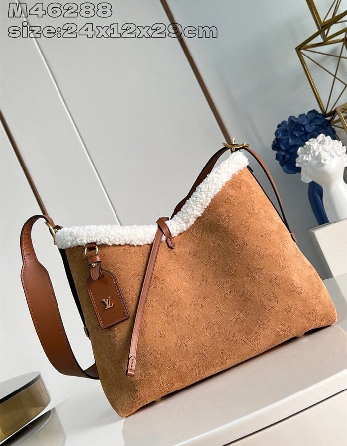 LOUIS VUITTON 루이비통 캐리올 숄더백 PM M46288 2024/신상