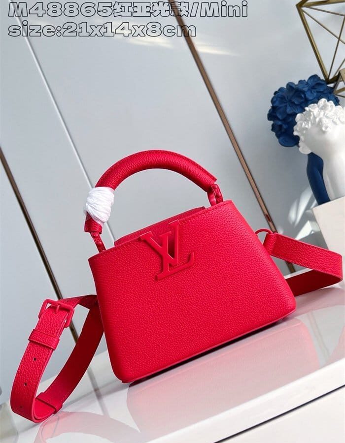 LOUIS VUITTON 루이비통 카푸신 미니 M48865 2024/신상