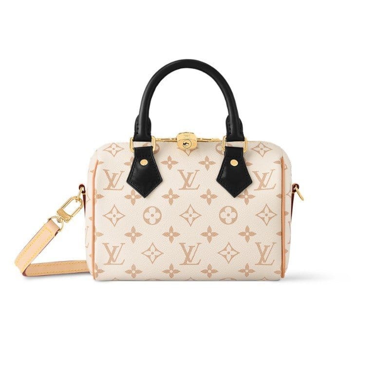 LOUIS VUITTON 루이비통 스피디 반둘리에르 20 M46906