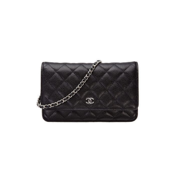 CHANEL 샤넬 WOC 19CM AS12051-3